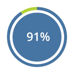 91% Icon