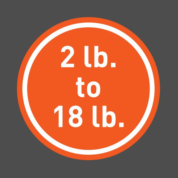 BodySport Medicine Ball - icon showing sizes