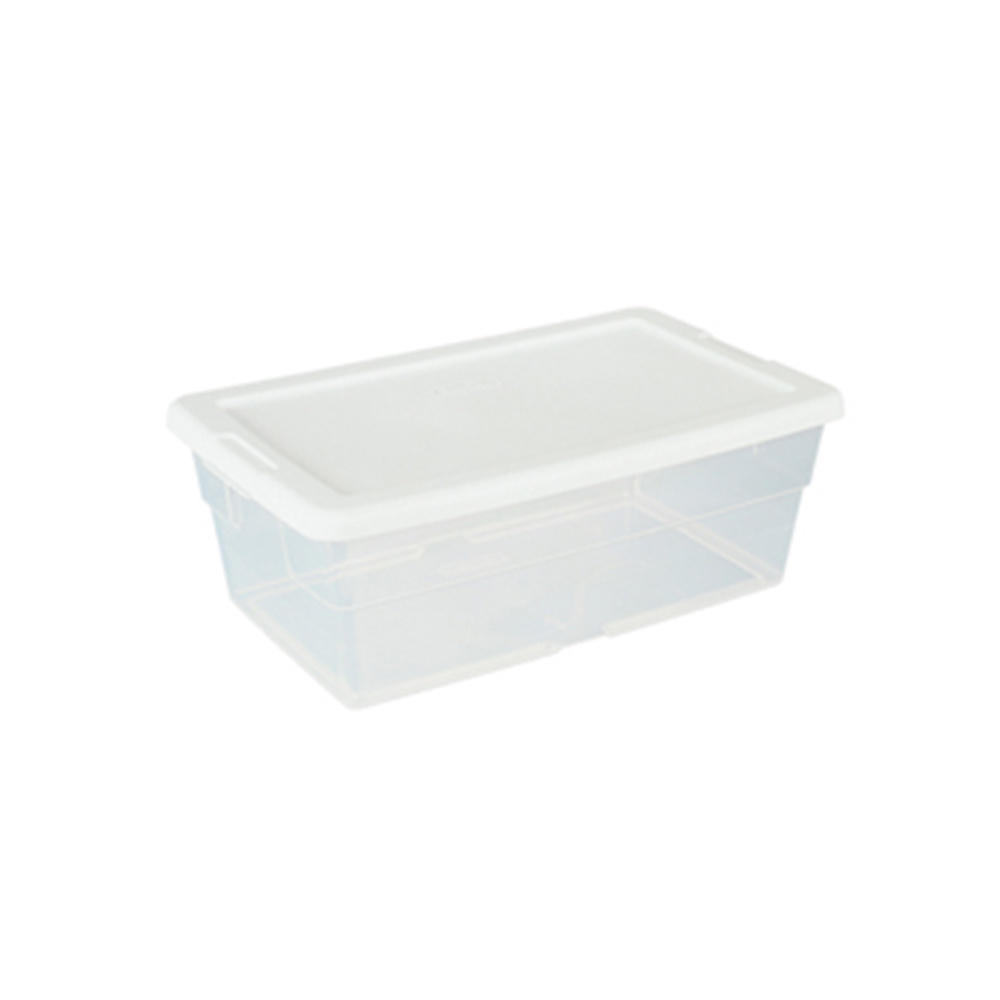 Clear Storage Container with Lid