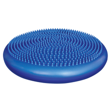 Balance Disc from ELIVATE Fitness - Click to Shop
