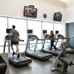 Commercial Solutions from ELIVATE™ - Boutique Fitness Centers