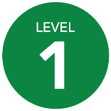 Level 1 Icon
