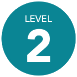 Level 2 Icon