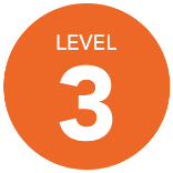 Level 3 Icon