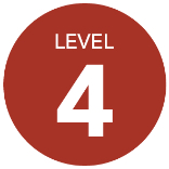 Level 4 Icon
