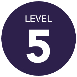 Level 5 Icon