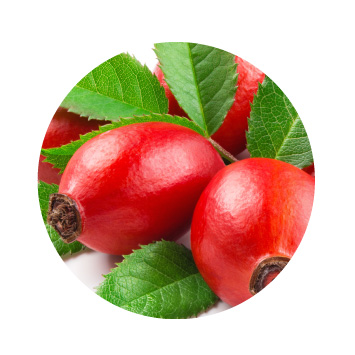 MeyerSPA Clean Beauty - Rosehip Ingredients - Click to Shop