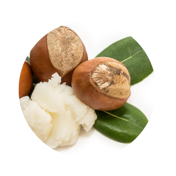 MeyerSPA Clean Beauty - Shea Butter Ingredients - Click to Shop