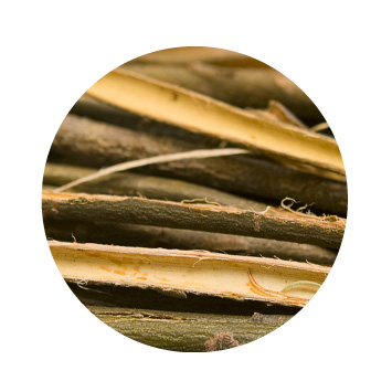 MeyerSPA Clean Beauty - Willow Bark Extract Ingredients - Click to Shop